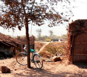 Thatch shelters with bike.