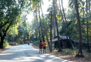Village road in Goa