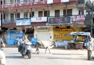 Town scene near the Colva beaches