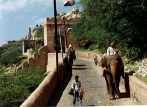 Jaipur Amber fort elephant walk