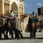 Jaipur Amber Fort elephants