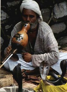 Bombay snake charmer
