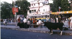 New Delhi bus station