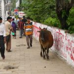 Dhaka - sharing the sidewalk