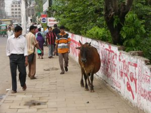 Dhaka - sharing the sidewalk