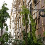 Dhaka - bamboo scaffolding