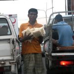 Dhaka - popcorn vendor