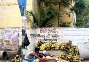 Dhaka - coconut vendor