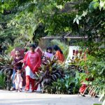 Dhaka - a peaceful park in the city.