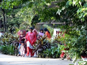 Dhaka - a peaceful park in the city.