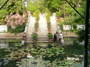 Dhaka - a peaceful park in the city.