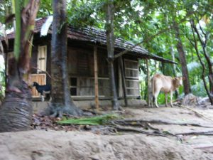 Local wooden house in