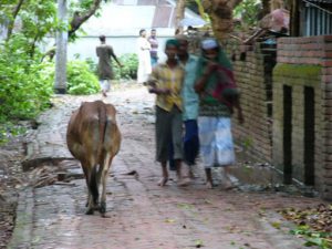 Shared walkway in the