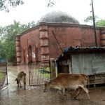 The village of Bagerhat