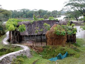 Simple thatch and bamboo farm houses