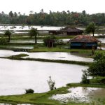 Water and rice farms (without electricity)