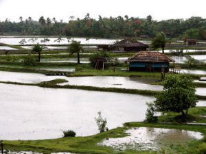 Water and rice farms (without electricity)