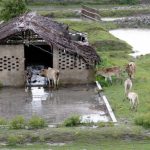 Small villages and farms are common.