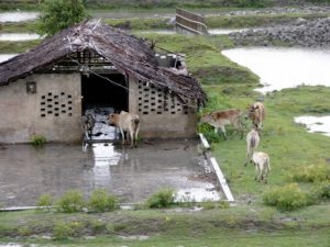 Small villages and farms are common.