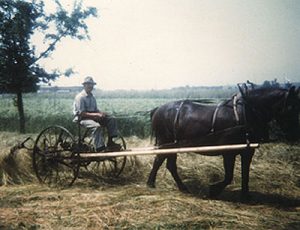 John's cousin Johann raking hay on his dairy farm in