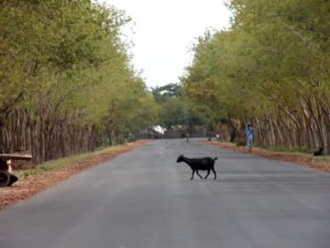 Roads are shared with many others.