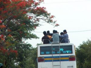 Fresh air and a bus ride