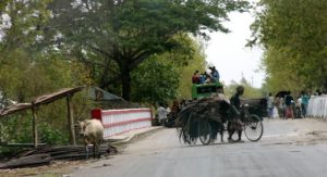 A heavy load and an overcrowded bus.