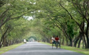 A picturesque section of the highway