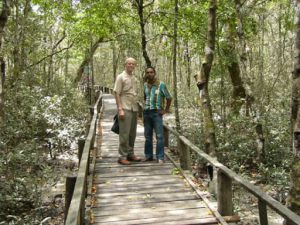 Walkway in the Sundarbans National Park