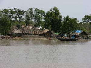 Thatch village in the Sundarbans National