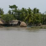 Thatch village in the Sundarbans National