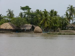 Thatch village in the Sundarbans National