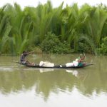 Local traffic in the Sundarbans National Park