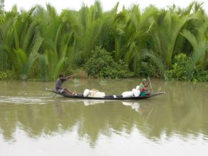 Local traffic in the Sundarbans National Park