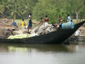 Cargo boat in the Sundarbans National Park