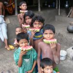 Village life in the Sundarbans National