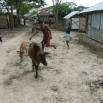 Village life in the Sundarbans National