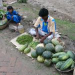 Village market in the Sundarbans National Park