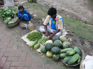 Village market in the Sundarbans National Park