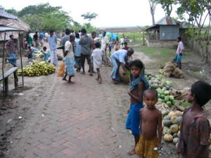 Village market in the Sundarbans National Park