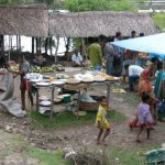 Village market in the Sundarbans National Park