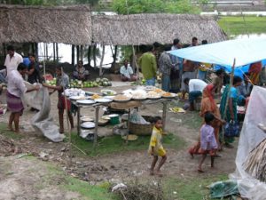 Village market in the Sundarbans National Park
