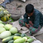 Village market in the Sundarbans National Park