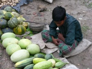 Village market in the Sundarbans National Park