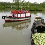 Tourist boat in the Sundarbans National