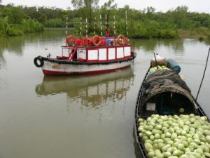 Tourist boat in the Sundarbans National