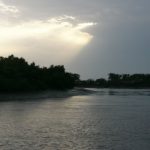Entering the Sundarbans National Park