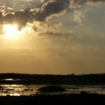 Marshy salt flats in