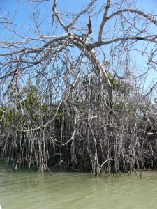 In the 118,00 acre nature preserve