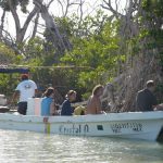 Tourist boat - sensible eco-tourism is